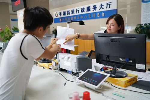 厲害了我的平湖——政務服務改革創新成效顯著，信息咨詢服務再升級